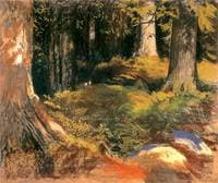 Forest in Zakopane