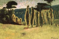 Pines and Poplars in a Field