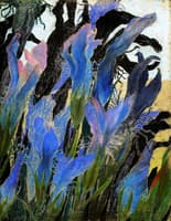 Irises