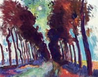 Road Bordered by Trees