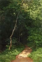 Forest Track