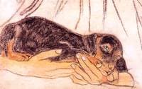 Study of a Dog