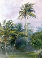 Palms in Storm, with rain, Vaiala, Samoa