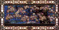 Cherry Blossoms against Spring Freshet