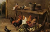 Chickens and Pigeons in a Farmyard