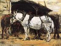 Harnessed Horses