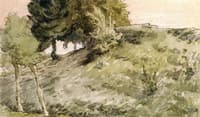 Wooded Hillside above Vichy