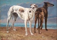 The Greyhounds of the Comte de Choiseul