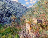 Olive Trees and Palm Trees, Sasso Valley