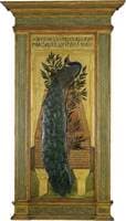 A Peacock