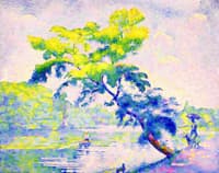 Leaning Tree
