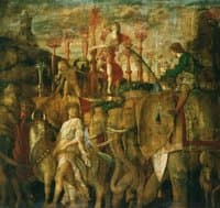 The Triumphs of Caesar - The Elephants