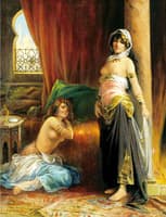 Harem Beauty