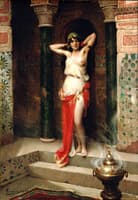 The harem beauty