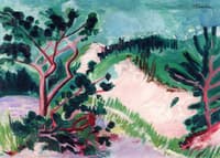 Pine Trees in the Dunes