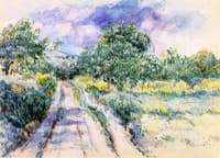 Through the Fields