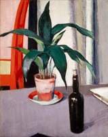 Aspidistra and Bottle on Table