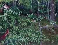 Forest Dwellers