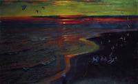 Seagulls at Sunset