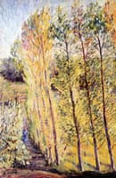 Avenue with Poplar Trees