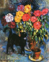 Dahlias and Black Cat