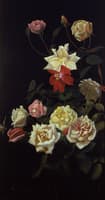 Still Life of Roses