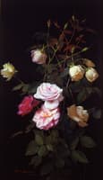 Still Life of Roses