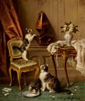 Kittens at Play
