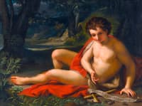 Saint-John the Baptist in the Desert