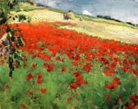 Landscape with Poppies