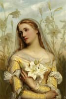 Lilies