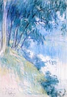 Willows by the River