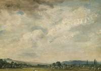 Harnham Ridge, Near Salisbury