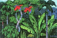 Tropical Forest