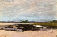 Overcast Sky on a Moor
