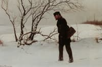 A Winter Traveler
