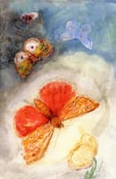 Butterflies and Flowers