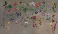 Studies of Flowers