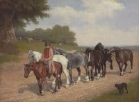 A groom with a string of carthorses and a dog, on a country road