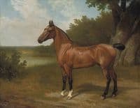 Hunter of Lord Bingley in a wooded river landscape