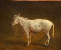 White Mule