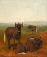 Gnus