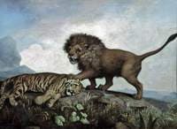 A Lion and a Tiger