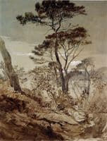Stone Pines at Sestri