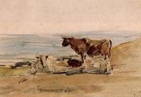 Cows near the Shore