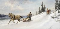 Winter Trip