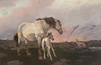 Horses and Wolf in the Mountains