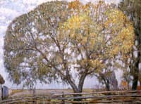 The Willow