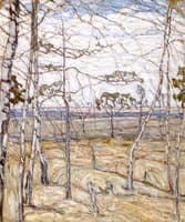 Birches