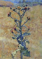 Thistle